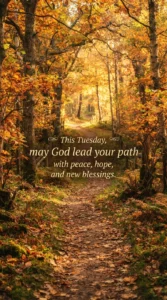Autumn Woodland Path